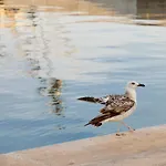 Dina Apartman Biograd na Moru