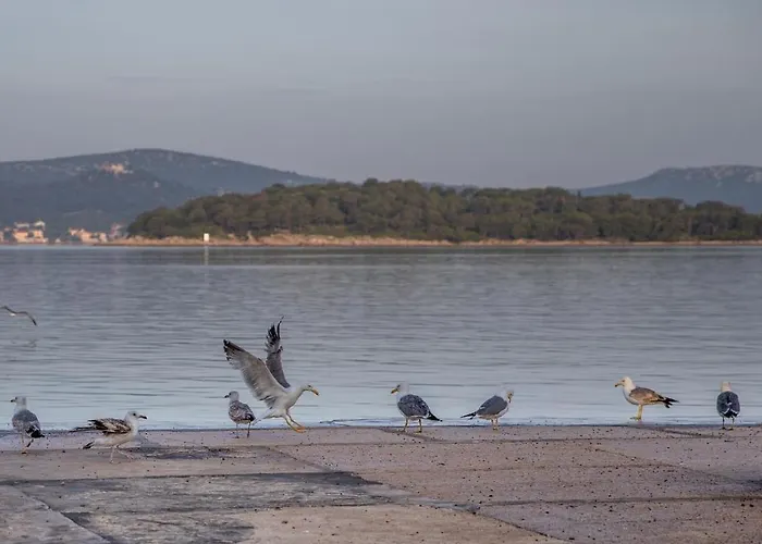 Апартаменты Dina *