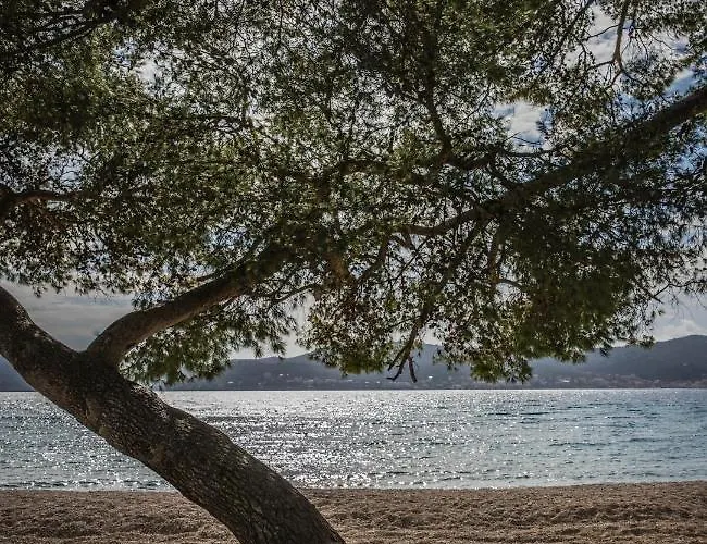 Апартаменты Dina