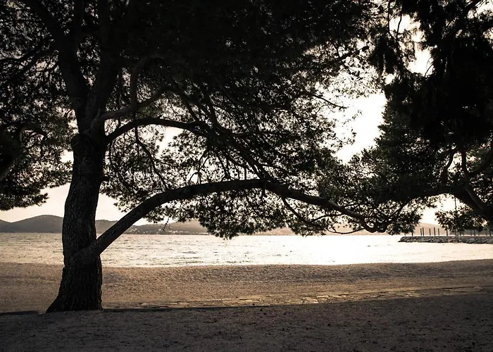 Dina Апартаменты *