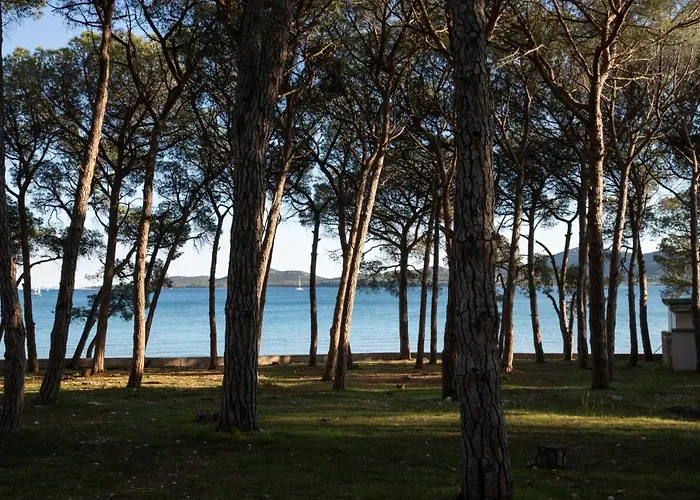 Dina ביוגראד נה מורו