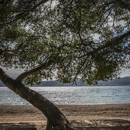 Διαμέρισμα Dina