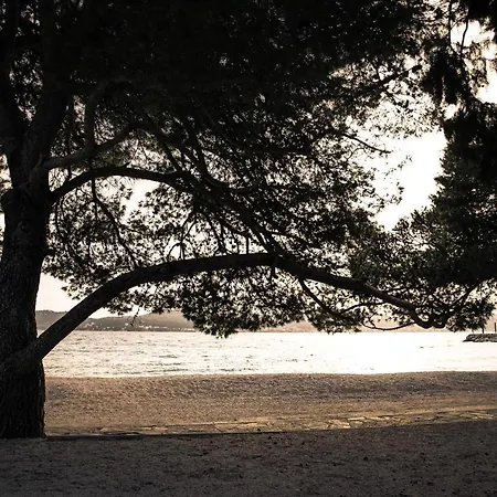 Dina Διαμέρισμα *