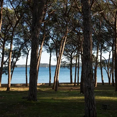 Dina Biograd Na Moru